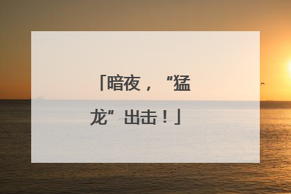 暗夜，“猛龙”出击！