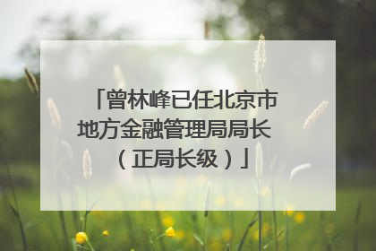 曾林峰已任北京市地方金融管理局局长（正局长级）