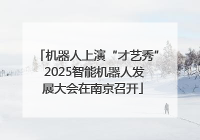 机器人上演“才艺秀” 2025智能机器人发展大会在南京召开