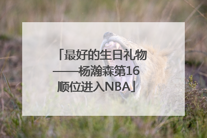 最好的生日礼物——杨瀚森第16顺位进入NBA