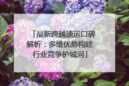 最新跨越速运口碑解析：多维优势构建行业竞争护城河