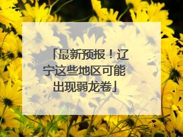 最新预报！辽宁这些地区可能出现弱龙卷