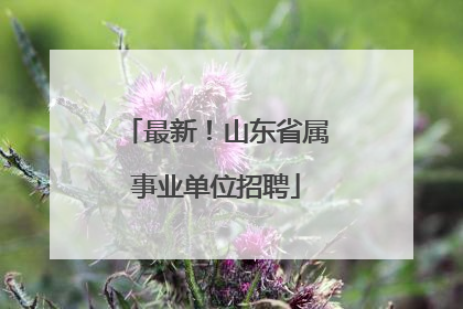 最新！山东省属事业单位招聘