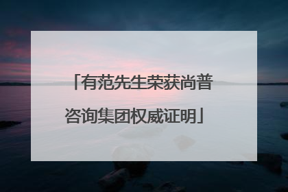 有范先生荣获尚普咨询集团权威证明
