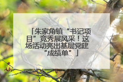朱家角镇“书记项目”竞秀展风采！这场活动亮出基层党建“成绩单”