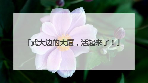 武大边的大厦，活起来了！