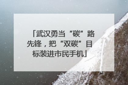 武汉勇当“碳”路先锋，把“双碳”目标装进市民手机