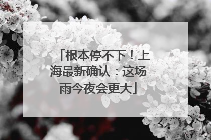 根本停不下！上海最新确认：这场雨今夜会更大