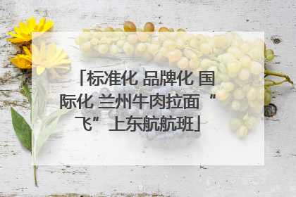 标准化 品牌化 国际化 兰州牛肉拉面“飞”上东航航班