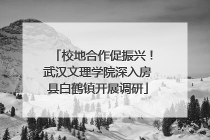 校地合作促振兴！武汉文理学院深入房县白鹤镇开展调研