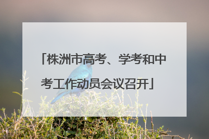 株洲市高考、学考和中考工作动员会议召开