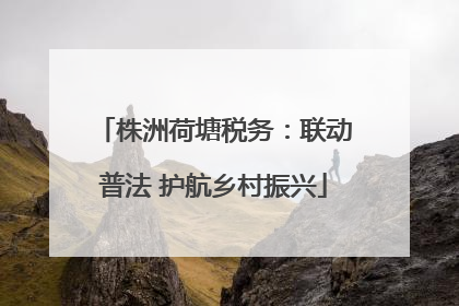 株洲荷塘税务：联动普法 护航乡村振兴