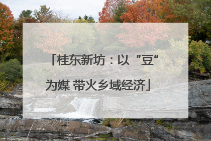 桂东新坊：以“豆”为媒 带火乡域经济