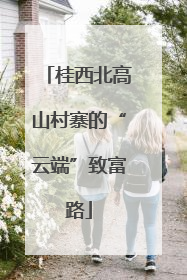 桂西北高山村寨的“云端”致富路