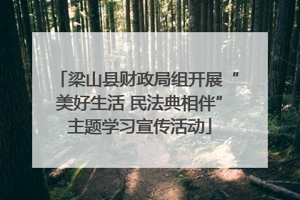 梁山县财政局组开展“美好生活 民法典相伴”主题学习宣传活动