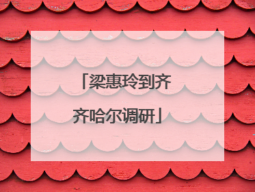 梁惠玲到齐齐哈尔调研