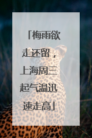 梅雨欲走还留，上海周三起气温迅速走高