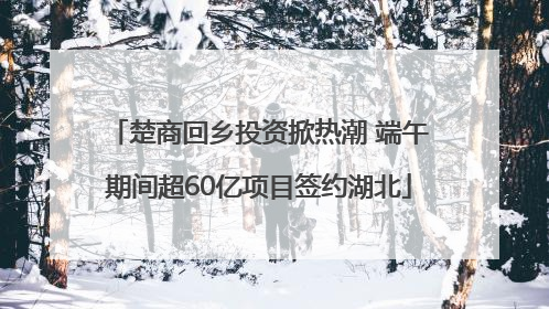 楚商回乡投资掀热潮 端午期间超60亿项目签约湖北
