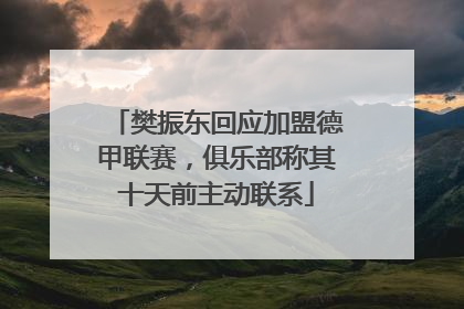 樊振东回应加盟德甲联赛，俱乐部称其十天前主动联系