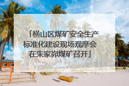 横山区煤矿安全生产标准化建设现场观摩会在朱家峁煤矿召开