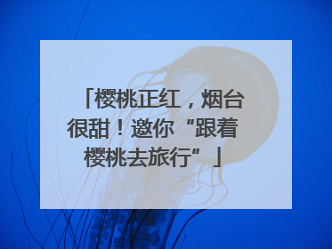樱桃正红，烟台很甜！邀你“跟着樱桃去旅行”