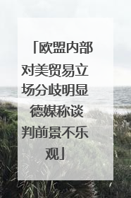 欧盟内部对美贸易立场分歧明显 德媒称谈判前景不乐观