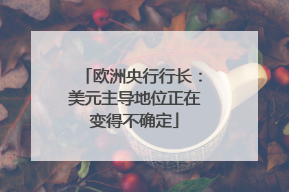 欧洲央行行长：美元主导地位正在变得不确定
