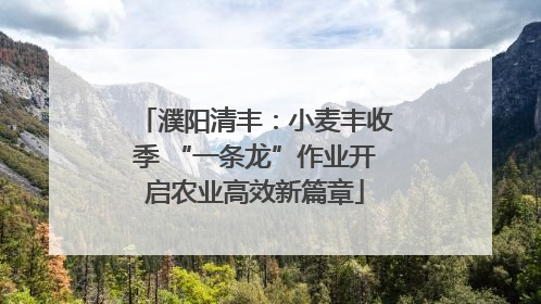 濮阳清丰：小麦丰收季 “一条龙”作业开启农业高效新篇章