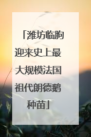 潍坊临朐迎来史上最大规模法国祖代朗德鹅种苗