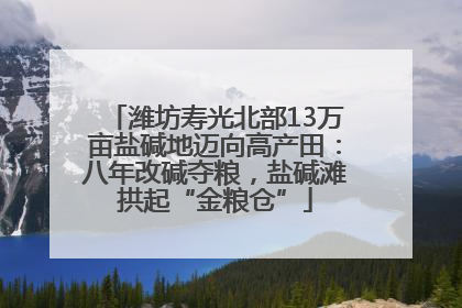 潍坊寿光北部13万亩盐碱地迈向高产田：八年改碱夺粮，盐碱滩拱起“金粮仓”
