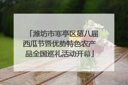 潍坊市寒亭区第八届西瓜节暨优势特色农产品全国巡礼活动开幕