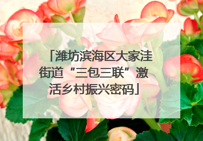 潍坊滨海区大家洼街道“三包三联”激活乡村振兴密码