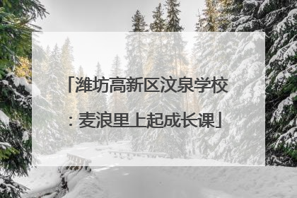 潍坊高新区汶泉学校：麦浪里上起成长课