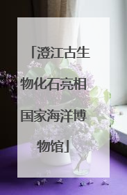 澄江古生物化石亮相国家海洋博物馆