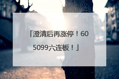 澄清后再涨停！605099六连板！
