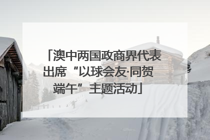 澳中两国政商界代表出席“以球会友·同贺端午”主题活动