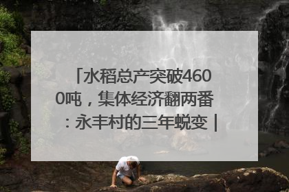 水稻总产突破4600吨，集体经济翻两番：永丰村的三年蜕变｜您牵挂的四川