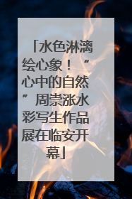 水色淋漓绘心象！“心中的自然”周崇涨水彩写生作品展在临安开幕