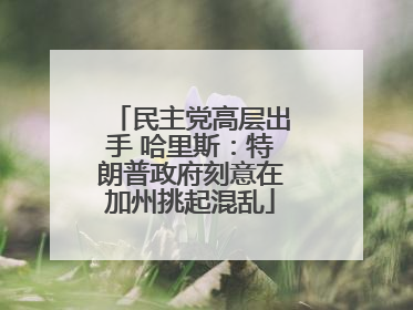 民主党高层出手 哈里斯：特朗普政府刻意在加州挑起混乱