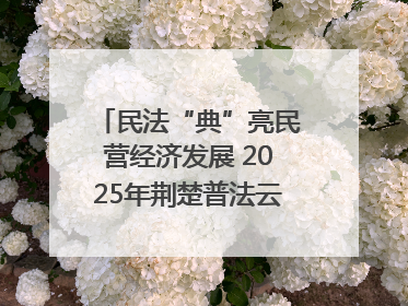 民法“典”亮民营经济发展 2025年荆楚普法云课堂第二期在武汉客厅开讲
