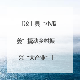 汶上县“小瓜蒌”撬动乡村振兴“大产业”