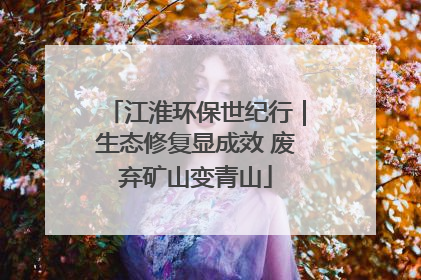 江淮环保世纪行｜生态修复显成效 废弃矿山变青山
