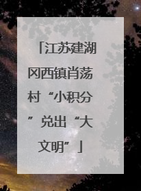 江苏建湖冈西镇肖荡村“小积分”兑出“大文明”