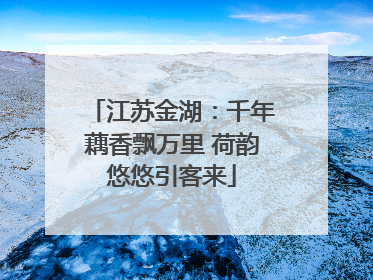 江苏金湖：千年藕香飘万里 荷韵悠悠引客来