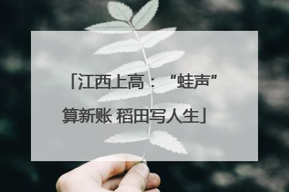 江西上高：“蛙声”算新账 稻田写人生