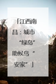 江西南昌：城市“绿岛”助候鸟“安家”