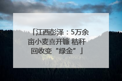 江西彭泽：5万余亩小麦喜开镰 秸秆回收变“绿金”