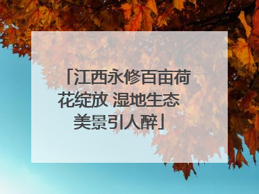 江西永修百亩荷花绽放 湿地生态美景引人醉