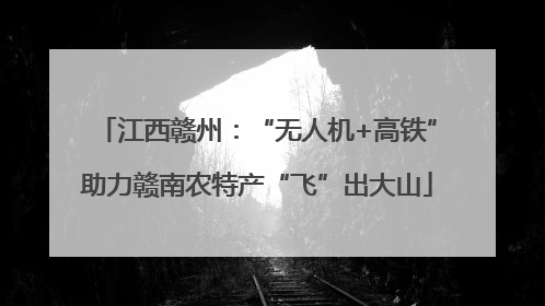 江西赣州：“无人机+高铁”助力赣南农特产“飞”出大山