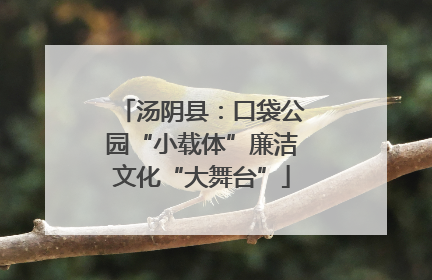 汤阴县：口袋公园“小载体”廉洁文化“大舞台”